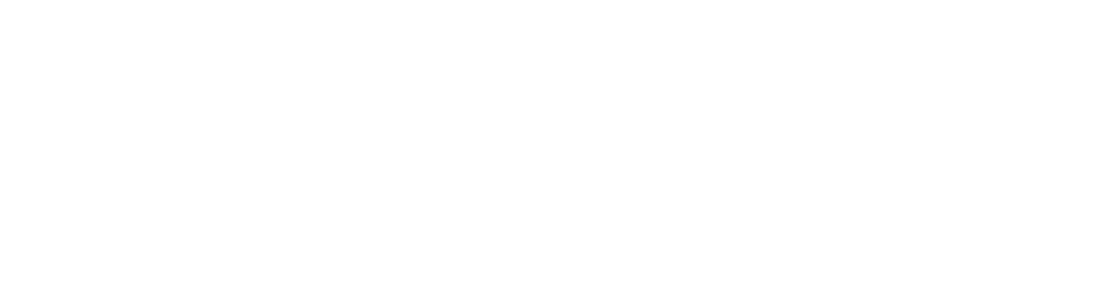 Nulink logo