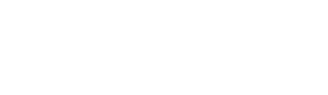 Xally logo